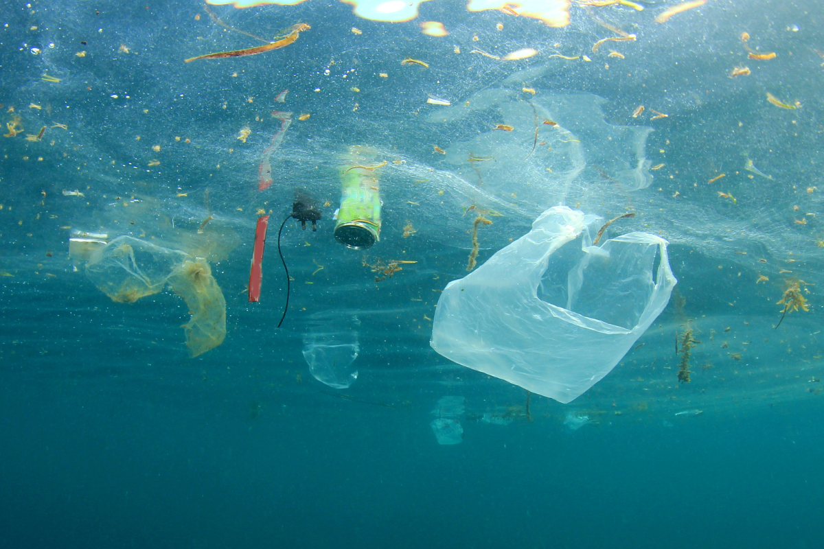 Impacto medioambiental del plástico